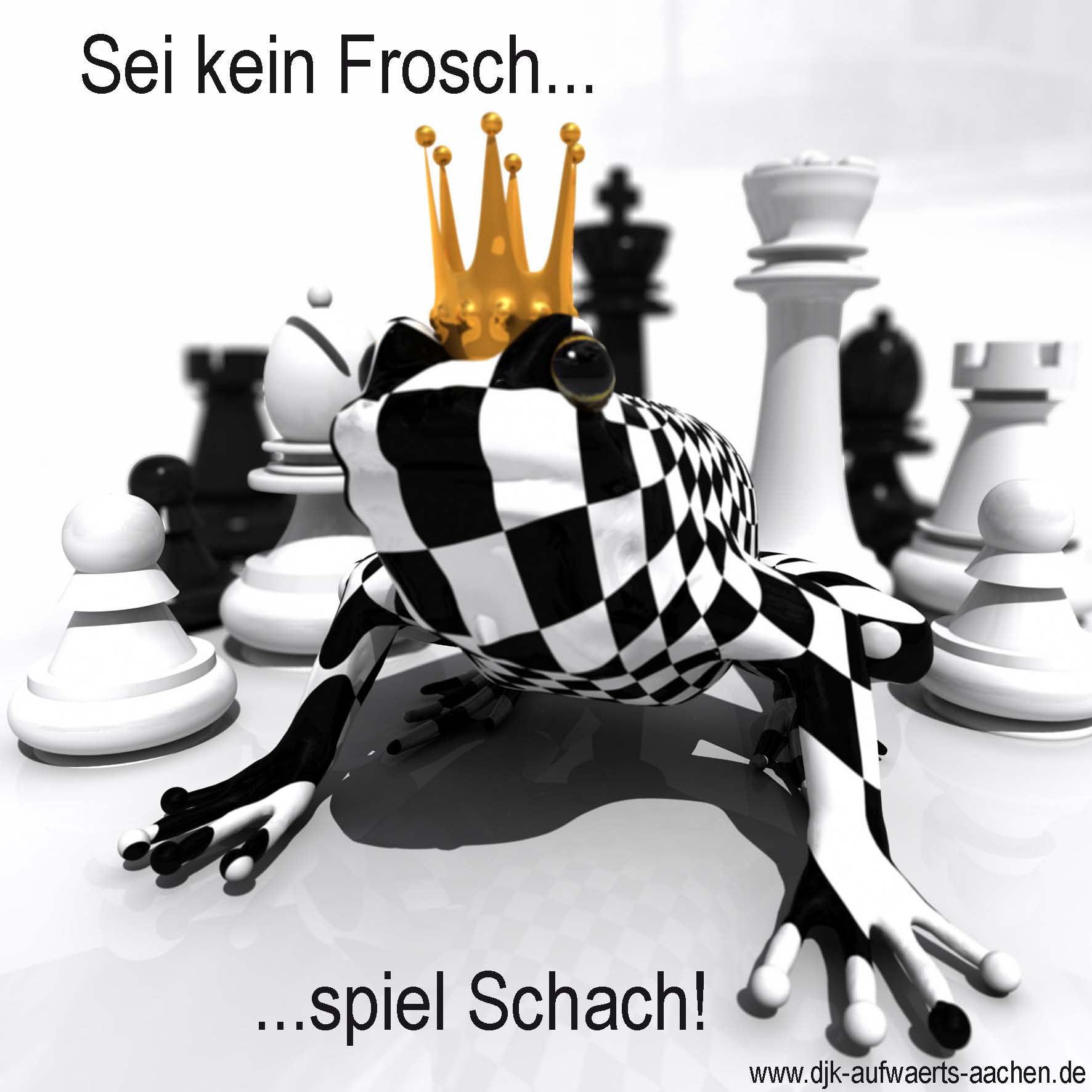 Schachw__rfel.jpg